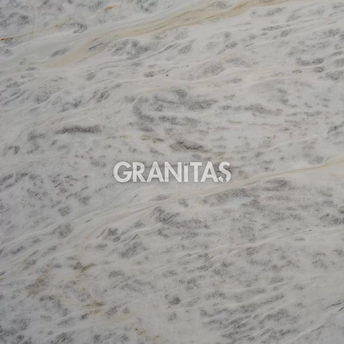 Bianco Leopardo